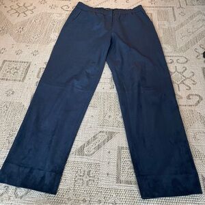 BCBGMaxAzria Suede Deep Blue Joggers